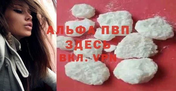 PSILOCYBIN Бородино