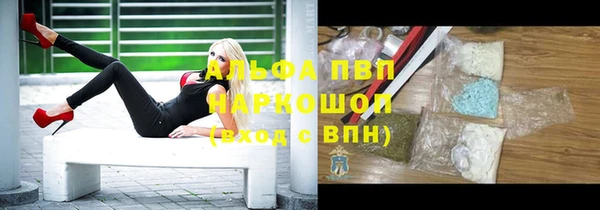 PSILOCYBIN Бородино