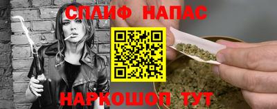 СК Балашиха