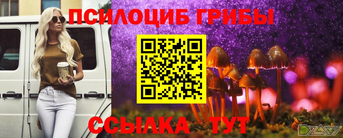 Псилоцибиновые грибы Magic Shrooms Вязьма