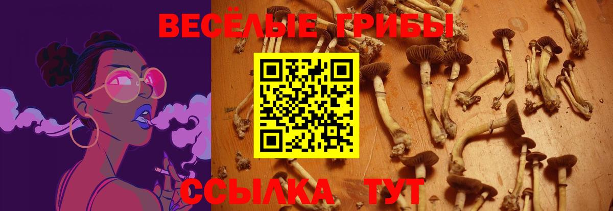 Вязьма  Псилоцибиновые грибы GOLDEN TEACHER  Вход с VPN 